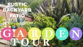 SUMMER SUCCULENT GARDEN TOUR 2022