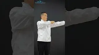 🎯How to shoot arrows for beginners(2) #archery #archer #archerylife #recurvebow #fyp