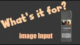 Whats it for? -image input node