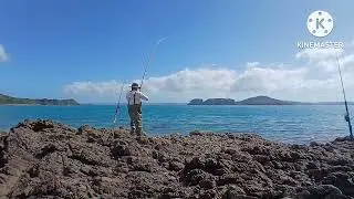 Rock fishing 🎣 here in Waitawa | Kawakawa bay 