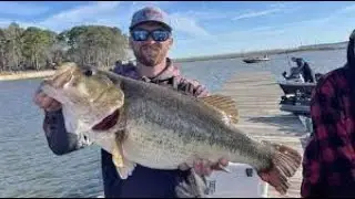 Fishing with WISH.COM Reel