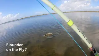 Fishing a Redfish tournament on the Coast - McFly Angler Episode 117