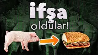 İFŞA OLAN FİRMALAR | Domuz Eti Var!