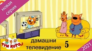 Три кота | Домашнее телевидение |Three Cats | Home TV | Серия 5 | 2021 Мультфильмы для детей