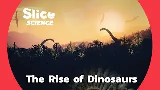 Triassic-Jurassic Transition: From Blooming Life to the Dawn of Dinosaurs | SLICE SCIENCE