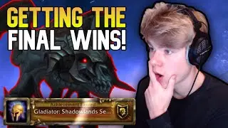 THE FERAL DRUID GLADIATOR PUSH! | Shadowlands WoW Arena