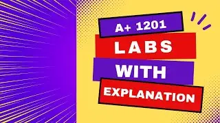 7.4 Lab: Troubleshoot a Network Issue Step by Step