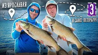 Наколбасили ЖЕРЕХА на Рыбинке! Из Ярославля в Санкт-Петербург на лодке. Серия 3