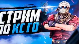 Стрим по CSGO 2