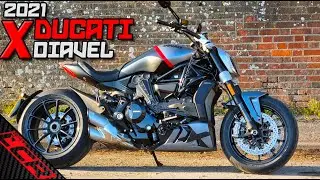 2021 Ducati XDiavel Black Star | Perfect Sports Cruiser?
