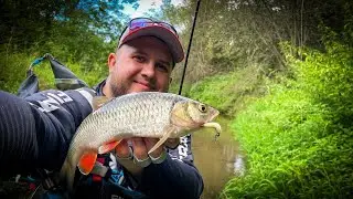 THE SECRET OF CATCHING TIRED CHUB IN AUTUMN / TROUT-STYLE FISHING