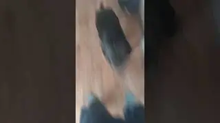 завтрак 