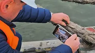 LineLens by Wilhelmsen: Digital mooring rope inspection tool