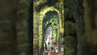 Very Rare Tunnel Book