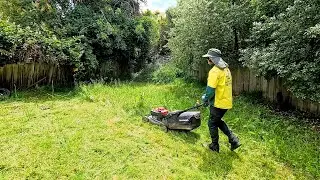 She was Amazed that I did all of this for NOTHING | Backyard Rescue