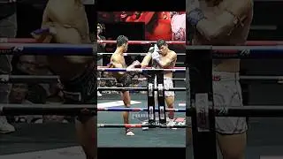 Muay Thai Fight Highlight