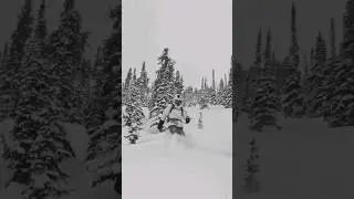 Черно-белый фрирайд в Ергаках 🖤