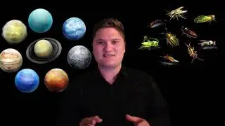ЕСТЕСТВОЗНАНИЕ 5 КЛАСС МАКРОМИР И МИКРОМИР