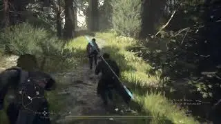 Dragon Dogma 2 NG+ Gameplay