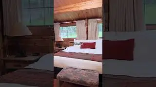 The ONLY Lodge that has this Feature! 🔥 Kenai Princess Lodge #alaskacruise #kenaipeninsula #cabin