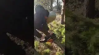 Сталкер с бензопилой 