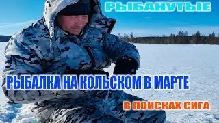 ЧТО МОЖНО ПОЙМАТЬ НА КОЛЬСКОМ В МАРТЕ ? ИЩЕМ РЫБУ В ОЗЕРАХ
