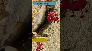 10 Fascinating ant Facts for Kids | Fun and Educational Discover the World of Ants 