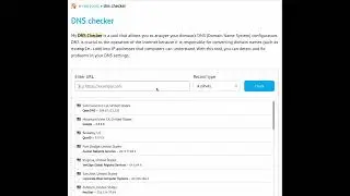 DNS checker - Free SEO tool
