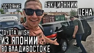 ГИБРИДЫ ИЗ ЯПОНИИ ПО НОВОЙ СХЕМЕ! SUZUKI X-BEE, SOLIO BANDIT | НА САПЕ И МОТОЦИКЛЕ ПО ПРИМОРЬЮ
