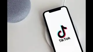 How to download TikTok Videos  without watermark 