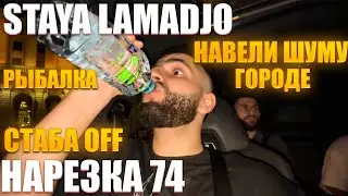 STAYA LAMADJO НАРЕЗКА 74 | РЫБАЛКА | НАШУМЕЛИ | ГАИШНИКИ