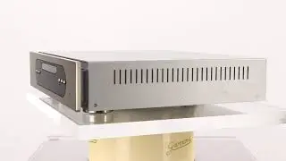 Primare CD31