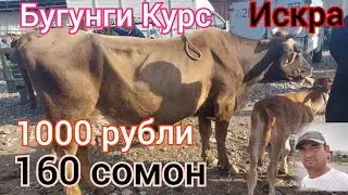 ДАХШАД МОЛЛАР ИСКРА БОЗОРДА ТЕЗ КУРИНГ ДУСТЛАР 30 04 2022й
