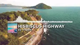 [HIBISCUS HIGHWAY] by VYBRE
