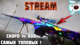 УЖЕ СКОРО 14 000 ЭЛИТЫ ЭЛЬТЕРА ! ЗАХОДИ НА ТОП СТРИМ ПО WARFACE