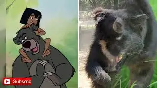 The Jungle Book Characters In Real Life 
