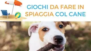 Giochi da fare in spiaggia col cane