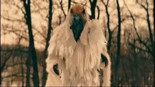 Creator Becomes The Monster 