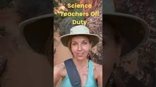 What do science teachers do when they are not teaching?