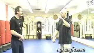 Lama Pai and Hop Gar Kung-Fu Influencing Other Styles Part 2