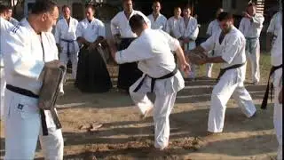 Miloš Stojanović - Tameshivari kata