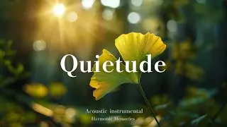 Quietude [relaxing guitar and piano] calm music for stress relief, study, work, sleep, meditation