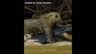 ПРО ВІЙНУ