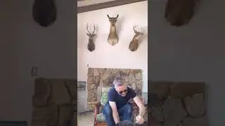 #shorts #shortsvedios #dog.     How much fun can you have with your dog?? #