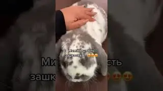 обзор кафе 🥰 