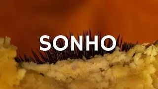 Carne Doce - Sonho (Libras e letra)