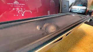 LG 15w 55x200mm TV speaker bass and excursion demo