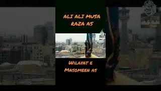 Shahadat e Imam Ali Raza as status|Ali Ali Musa Raza as Noha 2021 shia Whatsapp status|#shorts