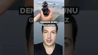 DENİZDE BUNU GÖRÜRSENİZ ORADAN HEMEN KAÇIN! #shorts