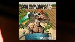 Schlump Loops 15 Demo - Creative Drum Breaks!